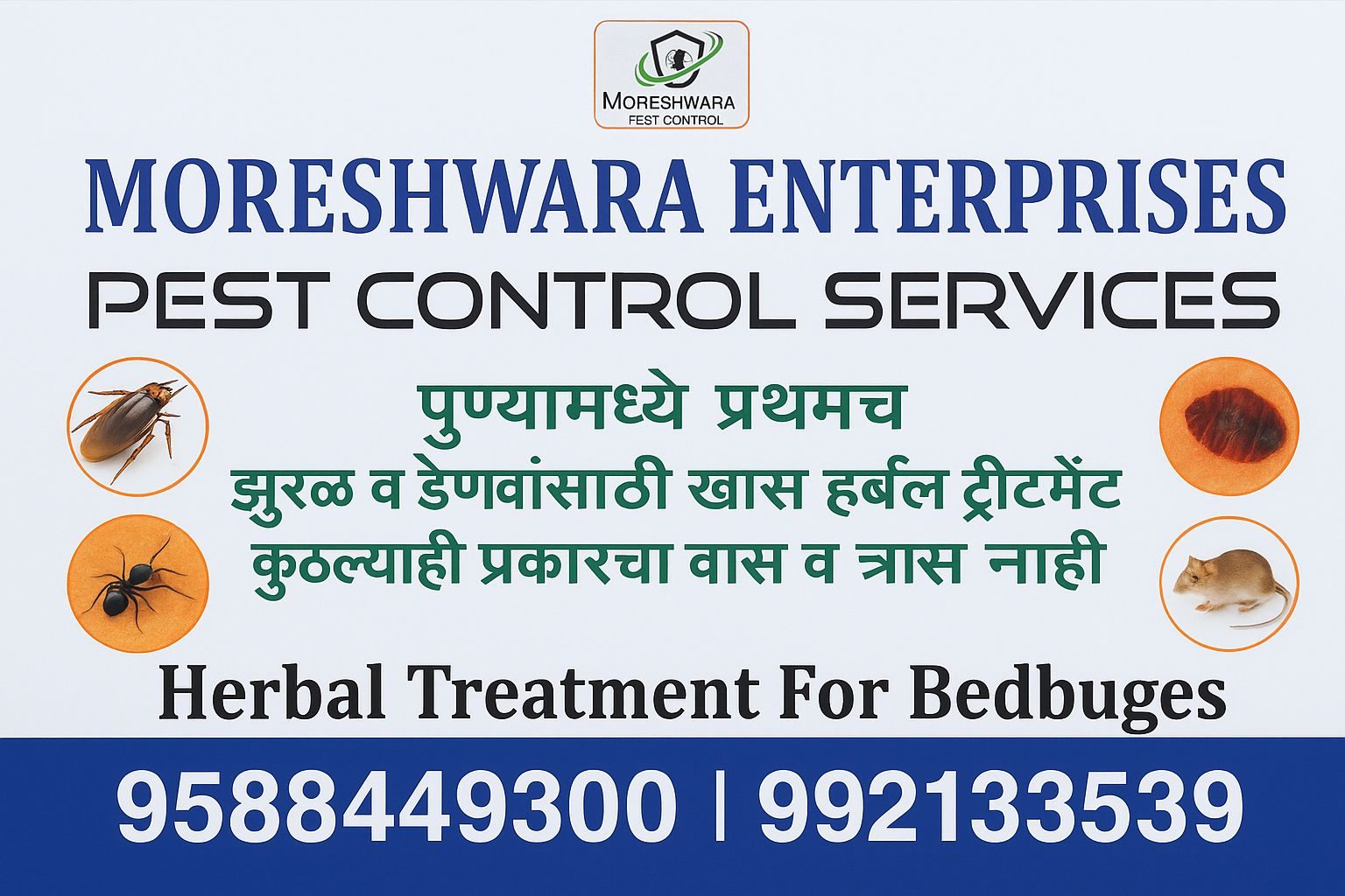 Herbal Cockroach and Bedbug Pest Control — by Moreshwara Pest Control